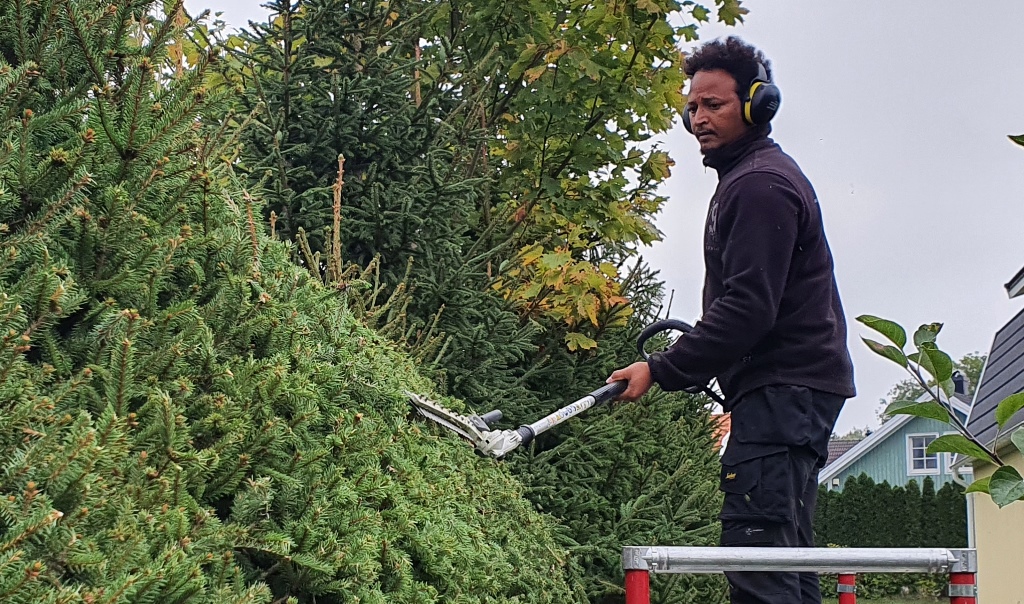 Yacob Kiflay - Trädgårdsarbetare på ReGarden
