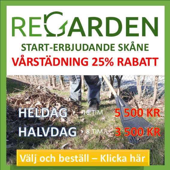 Beställ vårstädning av trädgården. ReGardens duktiga trädgårdsarbetare klipper ner vissna perenner, krattar löv och gör fint inför säsongen. Välj mellan 16 eller 8 timmar.