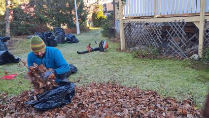 Miron tar hand om alla löv och packar i säckar.