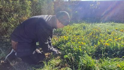 Vi började med den uppenbara uppgiften att rensa maskrosor i gräsmattan.
