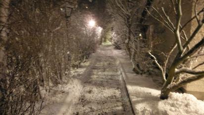 Gångväg fram till husets entré skottad och sandad.