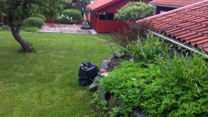 Rensning av rabatter pågår