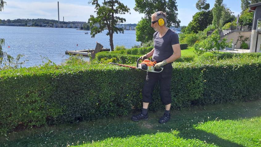 Den låga ligusterhäcken ramade in gräsytan men behövde putsas.