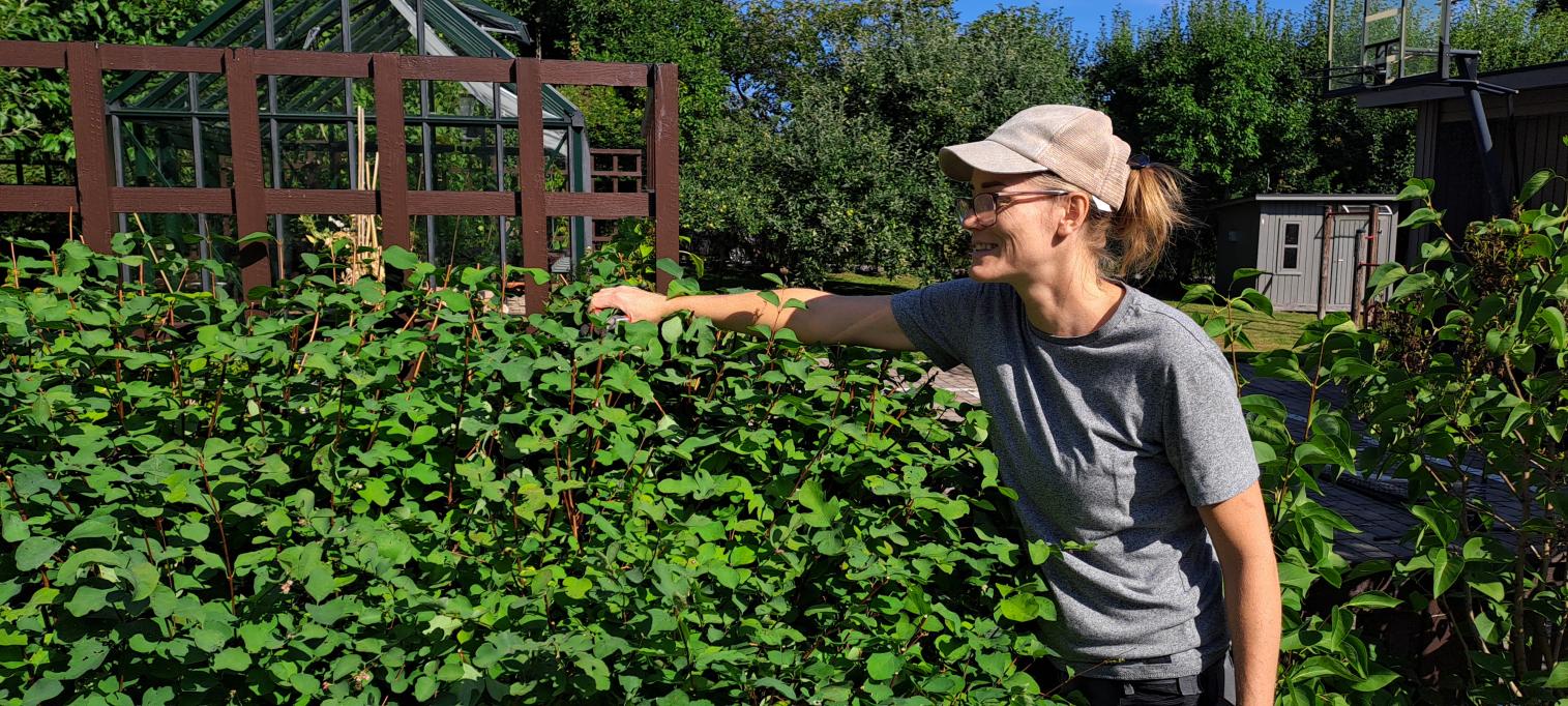 Vi klipper därför bort 