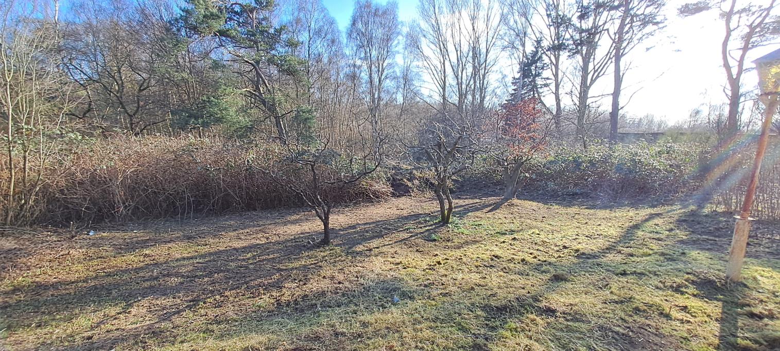 EFTER: Det blev stor skillnad när vi fått röja bort björnbären och trimma marken.