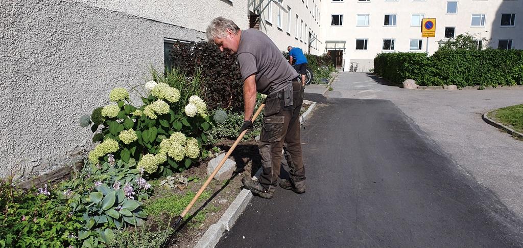 Stefan tar hand om området och har ett styvt jobb att hålla jämna steg med ogräset i de många rabatterna.