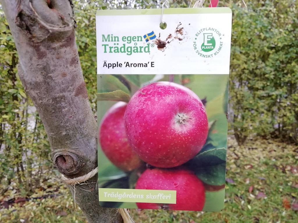 Kunden valde ett Aroma-träd som ger röda goda frukter under hösten.