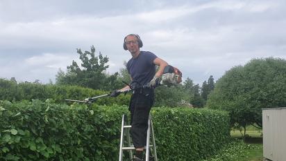 Johan putsar toppen på hagtornshäcken