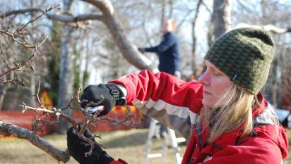 Hortonomen Malin Engström håller i kursen kring trädbeskärning