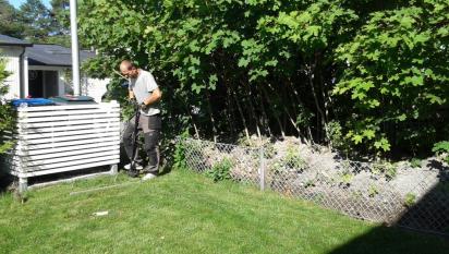 Vi började med att skära fram rabattkanten. Kunden ville ha thujorna planterade hitom det vita staketet.