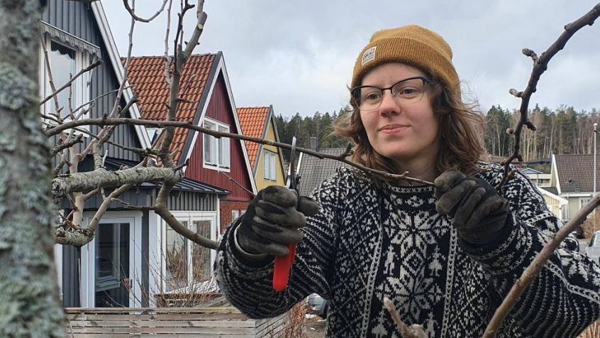 Maja Almlöf - Trädgårdsarbetare på ReGarden