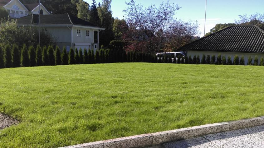 Nytt gräs utrullat och en betydligt planare och mer användbar gräsmatta.