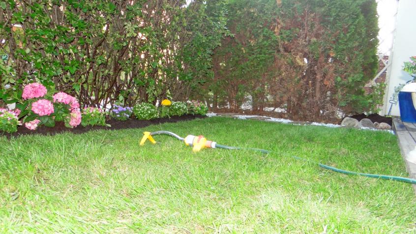 Ny gräsmatta utlagd. Nu återstår bara för kunden att vara noggrann med bevattningen i tre veckor för att gräset skall gro fast.
