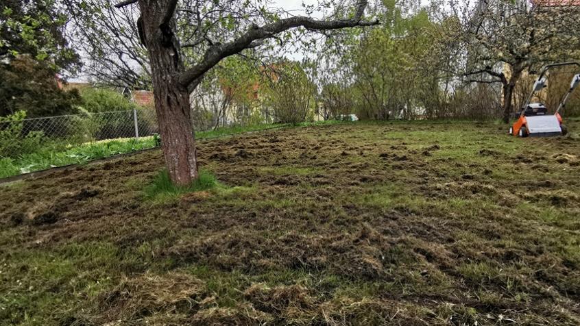 Det blir ofta väldigt mycket mossa och dött gräs som vi river upp som sedan behöver räfsas ihop