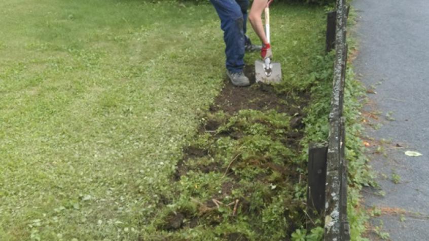 Anton gräver bort grässvålen och förbereder för plantering