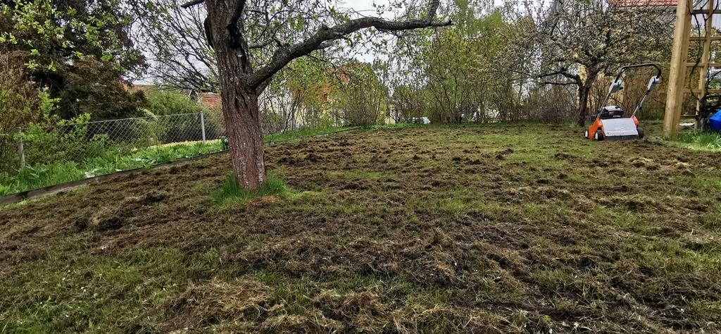 Det blir ofta väldigt mycket mossa och dött gräs som vi river upp som sedan behöver räfsas ihop