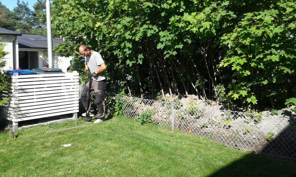 Vi började med att skära fram rabattkanten. Kunden ville ha thujorna planterade hitom det vita staketet.